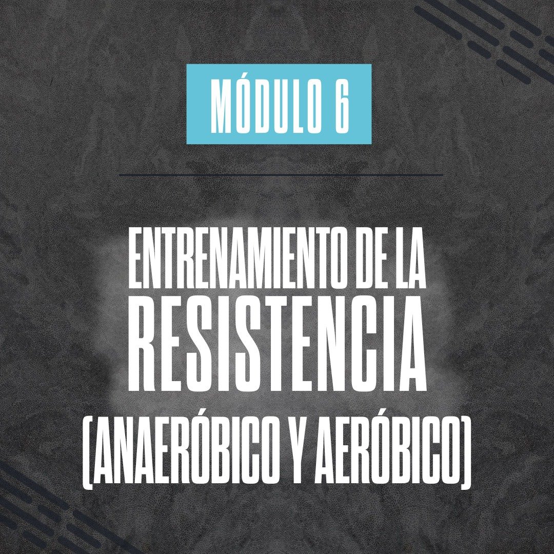MÓDULO 6 – ENTRENAMIENTO DE LA RESISTENCIA