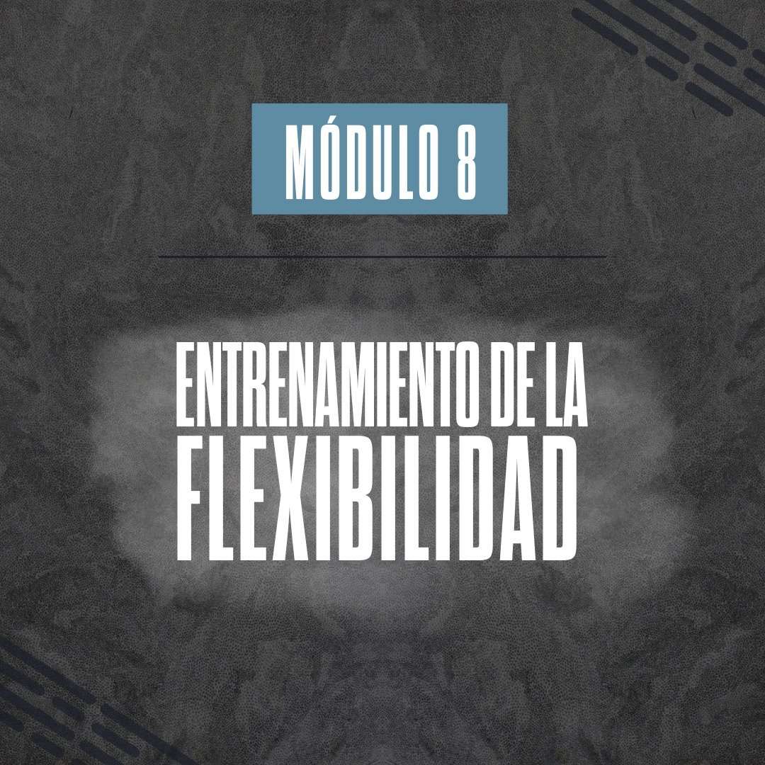 MODULO 8 – ENTRENAMIENTO DE LA FLEXIBILIDAD